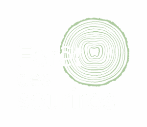 LFDS_Logo